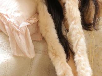 来51吃瓜网抢先看,张家界最新婚纱,总有一款让你心动!