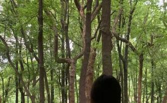 当“718.sx”碰上四条新线路，真是吃瓜不停嘴啊！